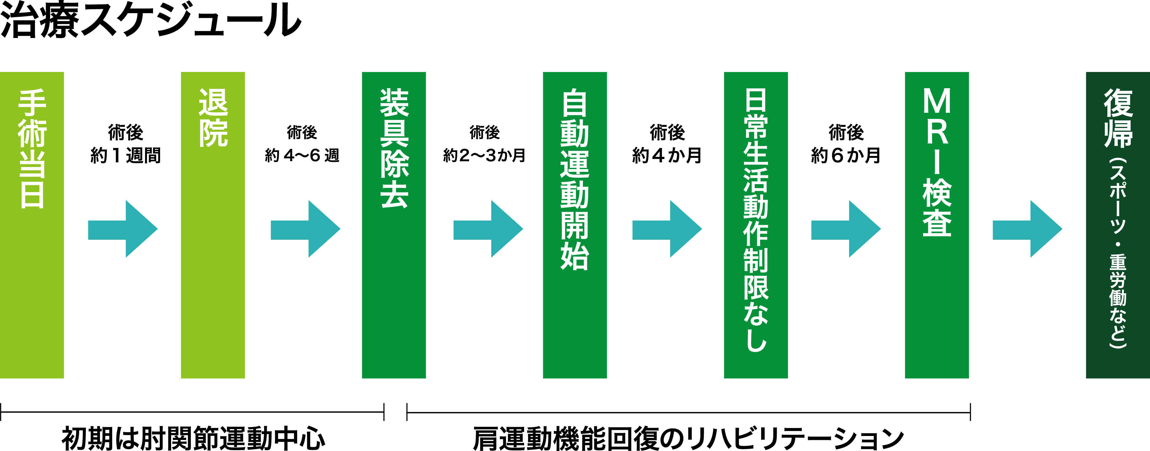 肩 腱 板 断裂 手術 入院 期間